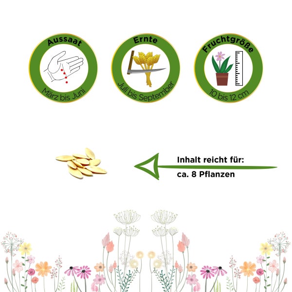 Snackgurke Iznik F1 Samen von Deine Gartenwelt