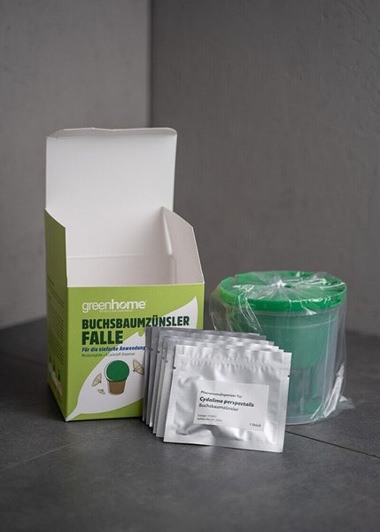 Zünslerfalle