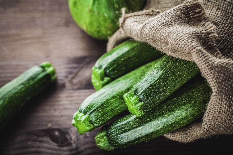 SAFLAX Garden to go - BIO - Zucchini - Nero di Milano - Cucurbita pepo - 6 Samen - Mit Topf, Klima - Deckel und Anzuchtsubstrat
