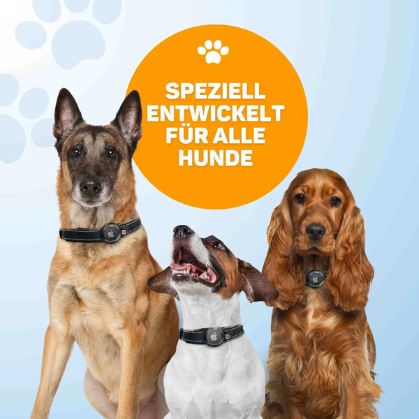 Drei Hunde tragen ein Halsband mit integriertem Apple AirTag Halterung mit Textanzeige speziell entwickelt für alle Hunde.