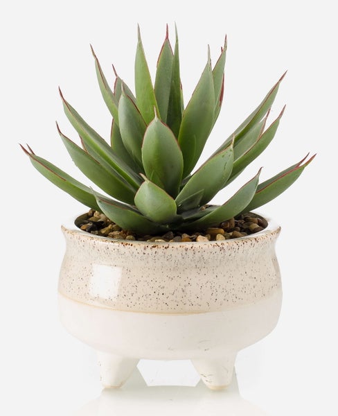 Kunst Drachenbaum-Agave NORSHU im Dekotopf, grün-rot, 20cm - Künstliche Agavenpflanze