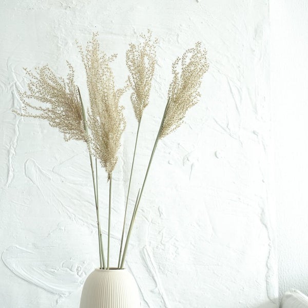 Reed Gras: Boho-Chic - ein Hauch von Natürlichkeit für deine Vase-  2 Wedel