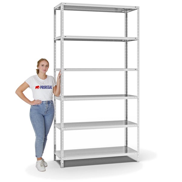 PROREGAL Fachbodenregal Schraubsystem Medium-Duty Grundregal HxBxT 250 x 130 x 50 cm 6 Ebenen Fachlast 200 kg Beidseitig Nutzbar Lichtgrau
