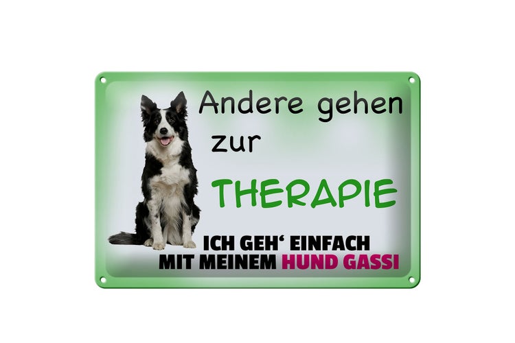 Blechschild Spruch 30x20cm ich geh' mit meinem Hund Gassi