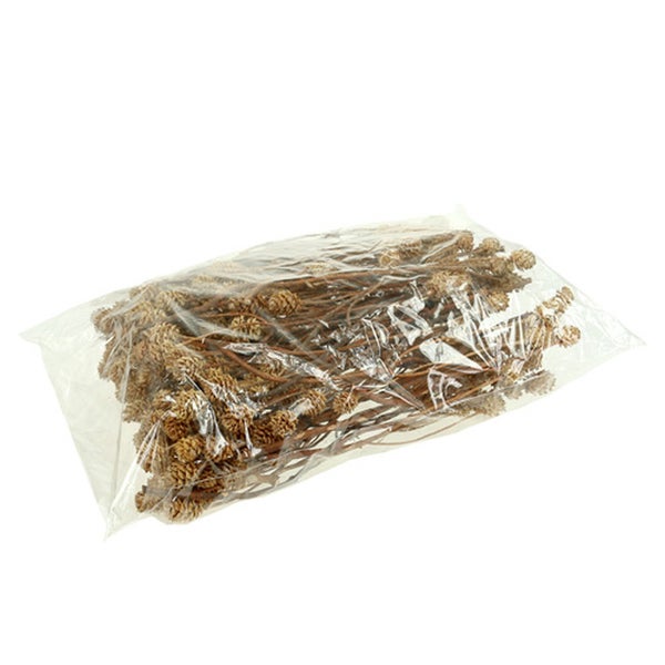 Packung mit trockenen Naturzweigen für Dekoration