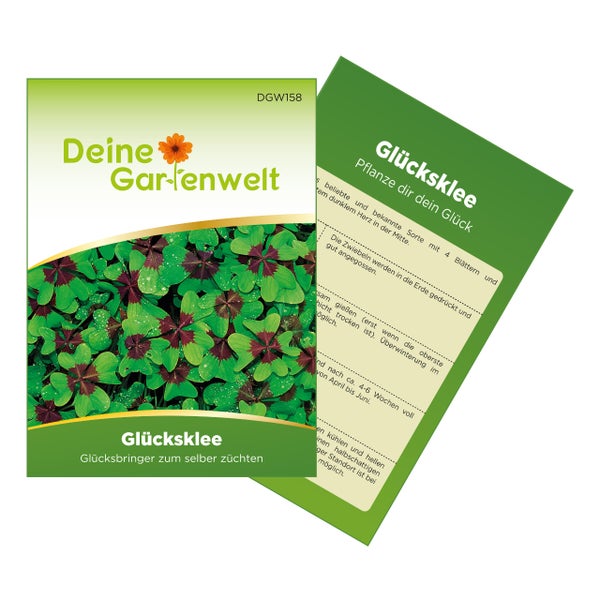 Samentüte Glücksklee von Deine Gartenwelt mit Pflanzanleitung auf der Rückseite. Abbildung zeigt vierblättrigen Klee mit dunkler Mitte.