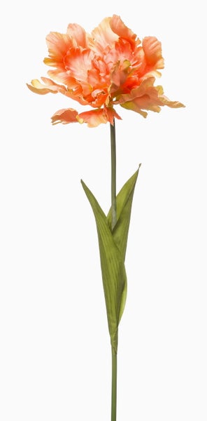 Quadratische Kunstpflanzenwand mit verschiedenen Farnen und Moos.