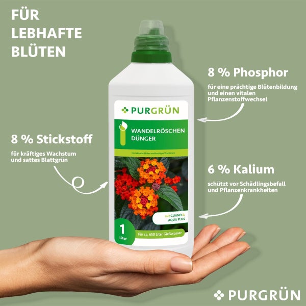 Purgrün Wandelröschen-Dünger 1 Liter