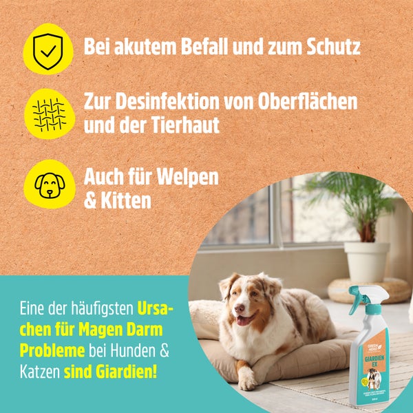 Giardien Ex Spray zum Schutz vor Giardien, Viren, Pilzen und Bakterien für Hunde und Katzen
