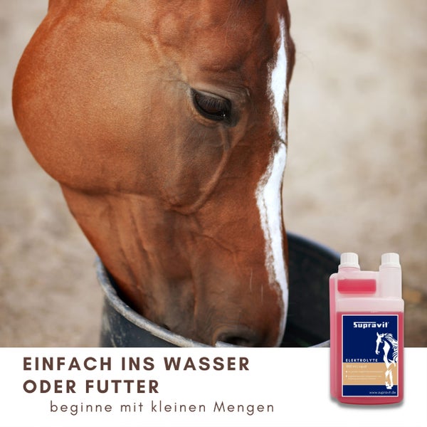 Pferde-Elektrolyte von Supravit zur einfachen Zugabe in Wasser oder Futter