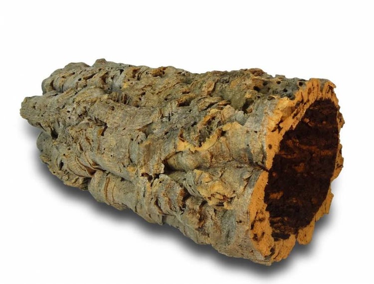Naturkorkröhre für Terrarien, aus natürlicher Korkrinde mit rauer Textur, hohl.