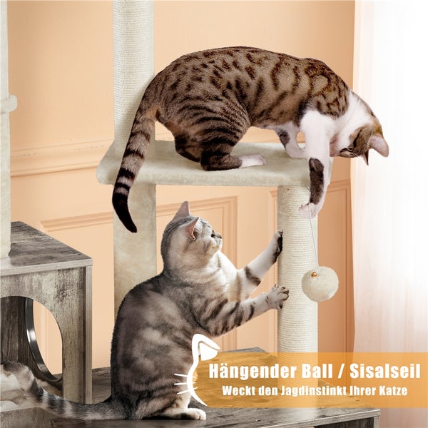 Katzenbaum mit Sisalstämmen und zwei Katzen beim Spielen