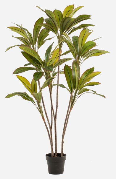 Künstliche Dracaena Pflanze mit grün rötlichen Blättern in einem schwarzen Kunststofftopf.