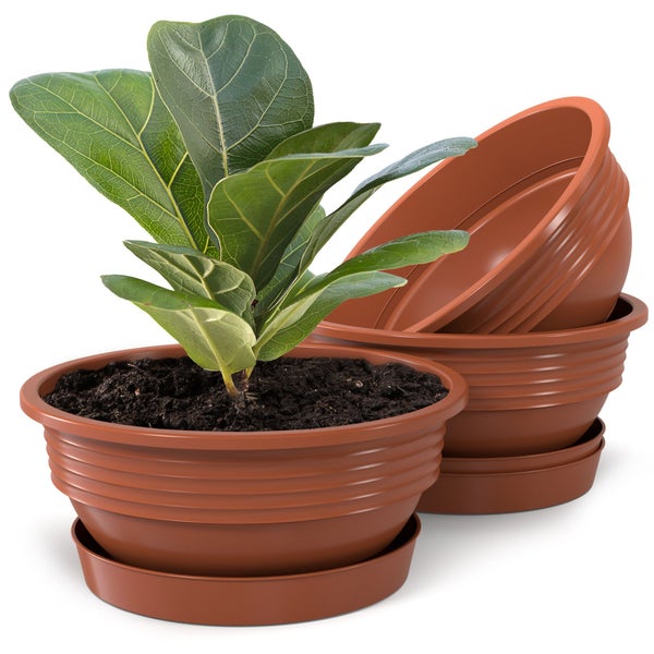 Plastard Pflanzschale 3er-Set in Terrakotta Ø 40 x 14 cm mit Untersetzer – wetterfest, frostbeständig, ideal für Garten, Balkon & Küche