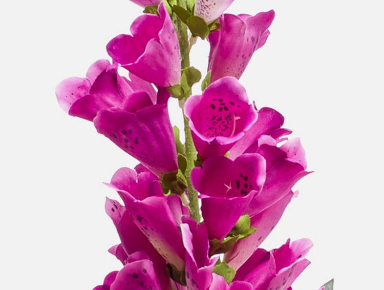 Künstlicher Fingerhut Digitalis mit rosa Blüten und grünem Stiel für die Innendekoration.