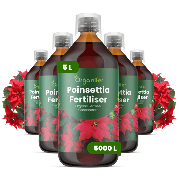 Fünf Flaschen Organifer Weihnachtsstern-Dünger, organisches Flüssigdüngerkonzentrat, 5 Liter.