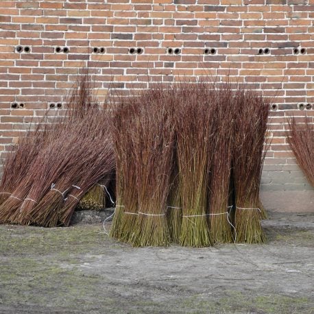 Bündel von Weidenruten zum Flechten vor einer Ziegelwand