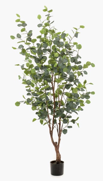 Künstlicher Eukalyptuszweig mit ovalen Blättern für Dekorationen.