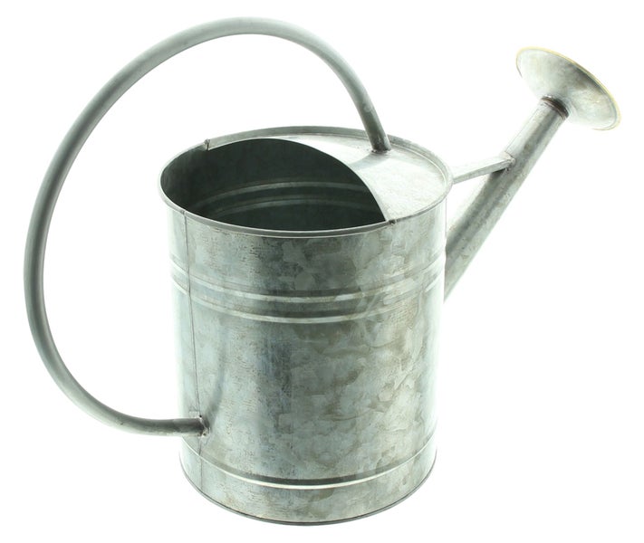 FRANK FLECHTWAREN | Dekogießkanne Silver, METALL, 47 x 20 x 32 cm
