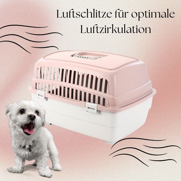 Haustiertransportbox mit Belüftungsschlitzen und einem kleinen, weißen Hund