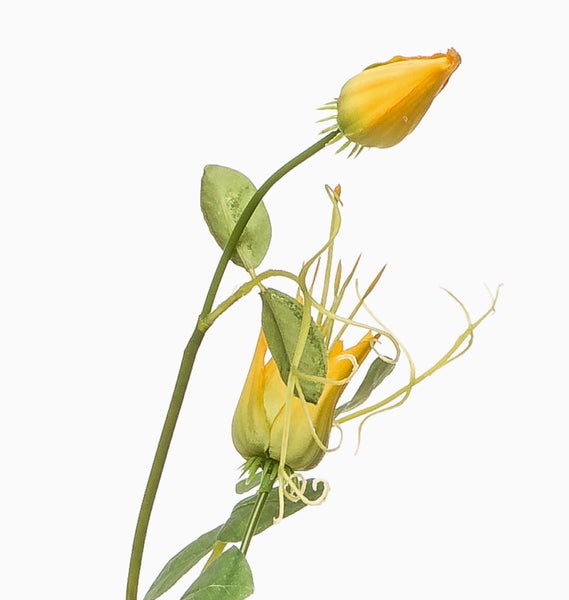 Künstlicher Blütenzweig mit gelben Knospen, grünen Blättern und Ranken für die Dekoration.