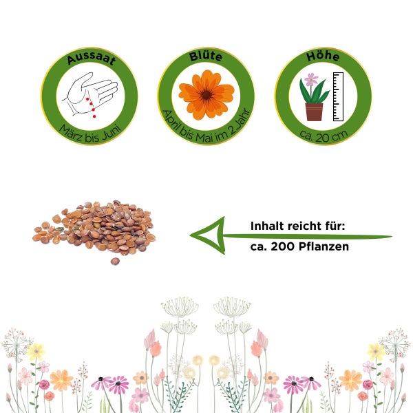 Steinkraut Goldkörbchen Samen von Deine Gartenwelt