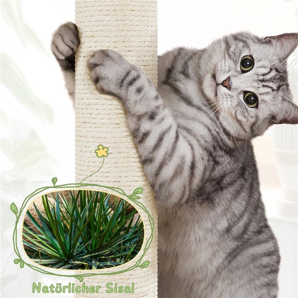 Katze an Kratzbaum aus natürlichem Sisal