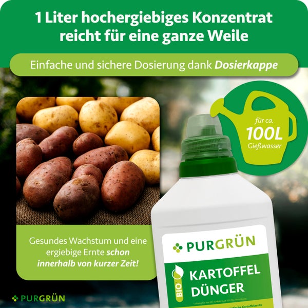 Purgrün Logo. Kartoffeldünger Bio-Konzentrat 1 Liter für circa 100 Liter Gießwasser, mit Kartoffeln und Dosierkappe.