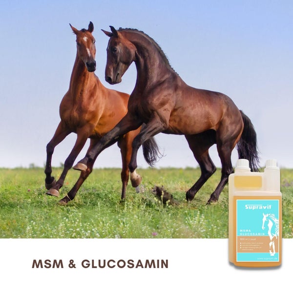Produktabbildung von Supravit MSM und Glucosamin für Pferde