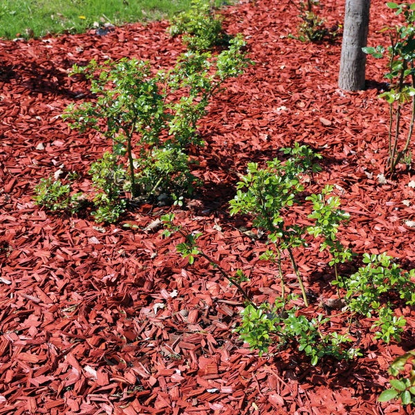 Galamio Hackschnitzel aus 100 Prozent Kiefernholz, Rot, 60 Liter, Körnung 5 bis 60 Millimeter.