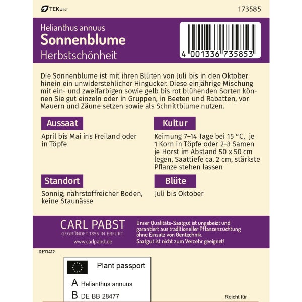 Sonnenblume Herbstschönheit Samen von Pabst Keimkraft