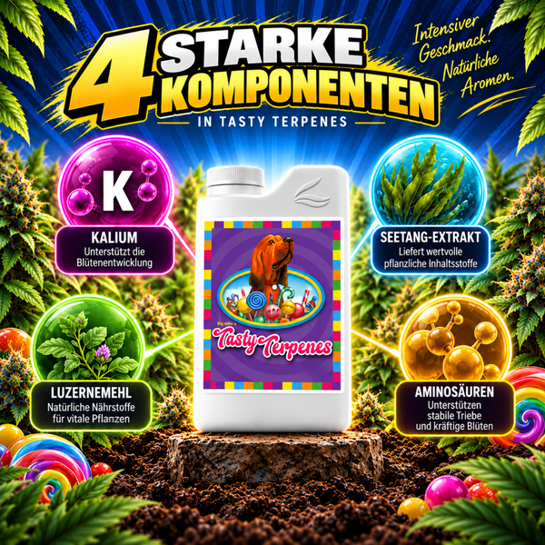 Tasty Terpenes Pflanzendünger in Flasche mit Abbildungen von Kalium, Seetang-Extrakt, Luzernemehl und Aminosäuren als Nährstoffkomponenten.