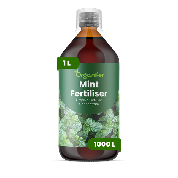 Organifer Minzdünger, organisches Düngerkonzentrat, 1 Liter Flasche für 1000 Liter Gießwasser.