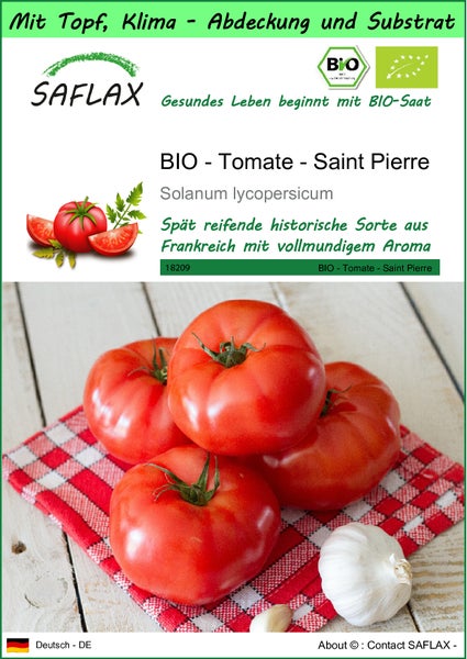 SAFLAX Garden to go - BIO - Tomate - Saint Pierre - Solanum lycopersicum - 15 Samen - Mit Topf, Klima - Deckel und Anzuchtsubstrat