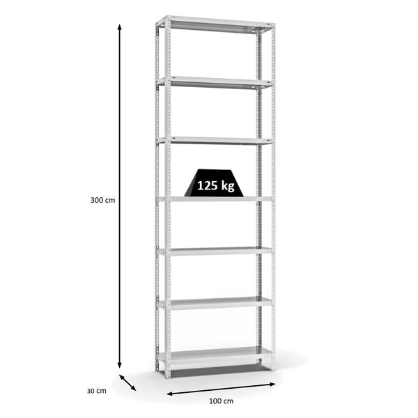 PROREGAL Fachbodenregal Schraubsystem Light-Duty Grundregal HxBxT 300 x 100 x 30 cm 7 Ebenen Fachlast 125 kg Beidseitig Nutzbar Lichtgrau