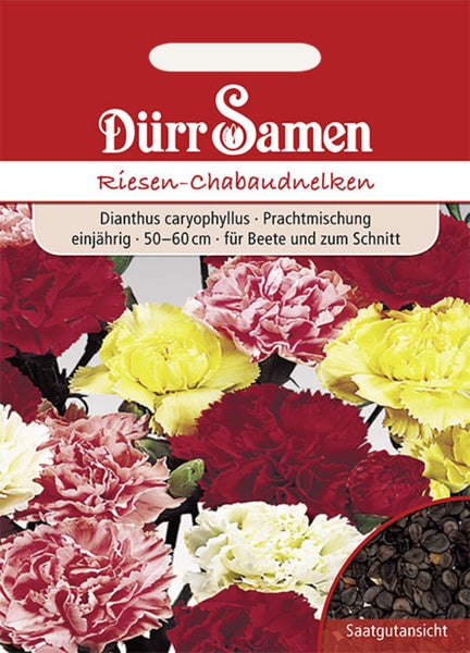 Samentüte für Dürr Samen Riesen-Chabaudnelken. Prachtmischung einjähriger Blumen, Höhe 50 bis 60 Zentimeter. Dürr Samen Logo.