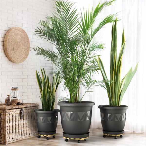 Plastard Blumentopf Ø40 cm Anthrazit inkl. Pflanzenroller & Untersetzer– Wetterfest & Mobil
