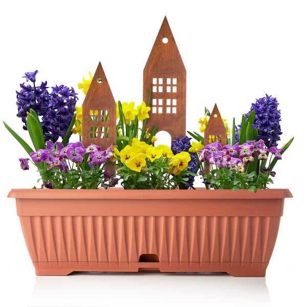 Blumenkasten mit Veilchen, Narzissen, Hyazinthen und Haus Dekoration