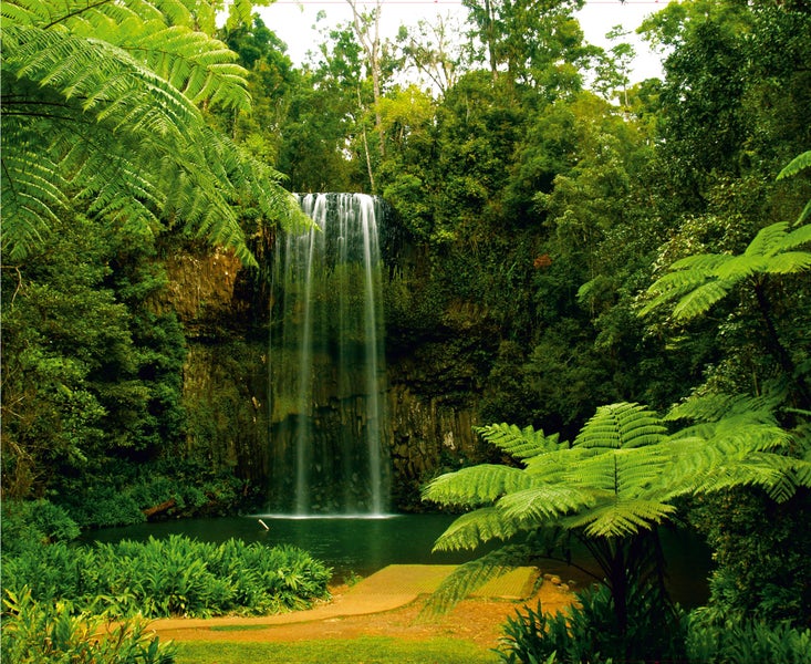 Wasserfall umgeben von Bäumen und Vegetation