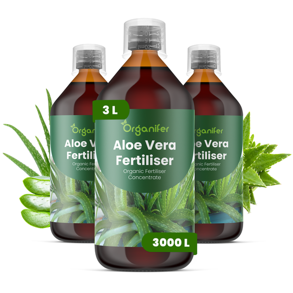 Organifer Aloe Vera organisches Flüssigdüngerkonzentrat, 3 Liter Set, reicht für bis zu 3000 Liter Gießwasser.