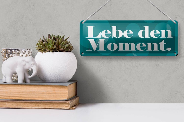 Blechschild Spruch 27x10cm Lebe den Moment Dekoration