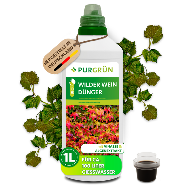 Flasche Purgrün Bio Wilder Wein Dünger neben einem lächelnden Gärtner mit Strohhut, Flüssigdünger für den Außenbereich und Purgrün Logo.