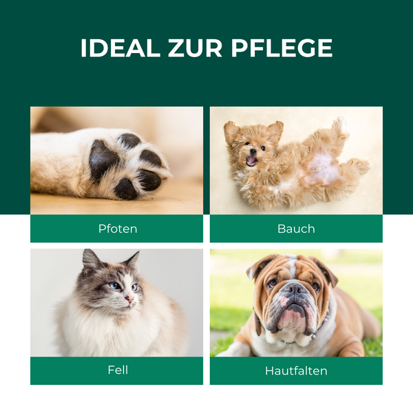 Infografik zeigt Anwendungsbereiche für Haustierpflege an Pfoten, Bauch, Fell und Hautfalten von Hunden und Katzen.