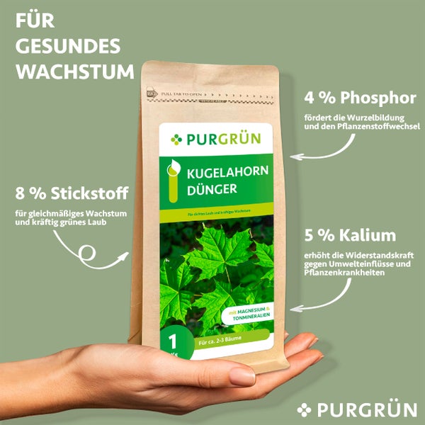 Purgrün Kugelahorn-Dünger 1 kg