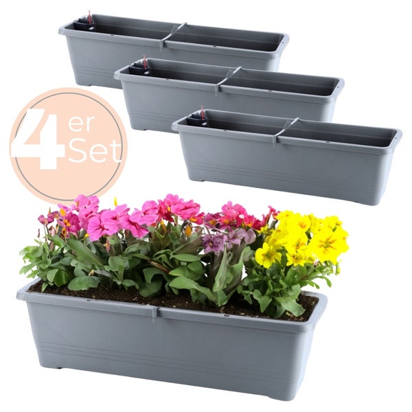 Vierer-Set graue Pflanzkästen mit Blumen