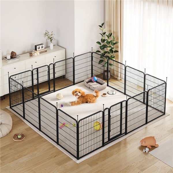 Innenraum mit einem Hund in einem schwarzen Metallgitter-Laufstall mit Tür