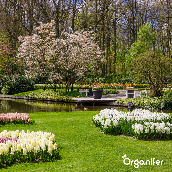 Frau mit Schürze hält Topfblume in einem hellen Gartenhaus