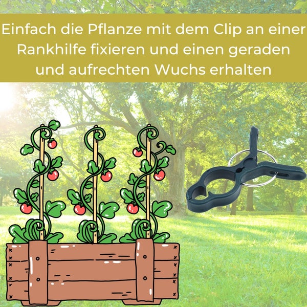 Pflanzenclip zur Befestigung einer Pflanze an einer Rankhilfe