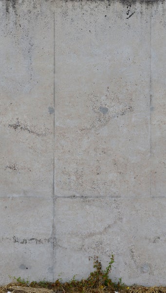 Betonwand mit Pflanzen am Boden