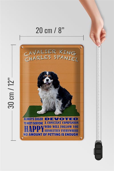 Blechschild Spruch 20x30cm Cavalier King Charles Spaniel orange
